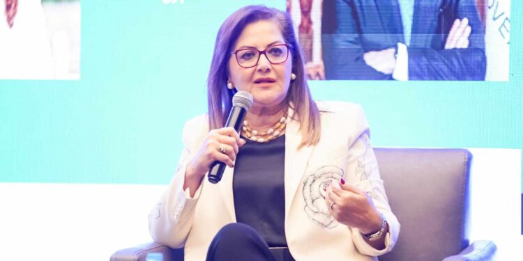 وزيرة التخطيط تبحث سبل التعاون مع وزير التنمية الاقتصادية الروسي