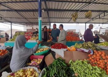 أسعار الخضار والفاكهة اليوم الثلاثاء