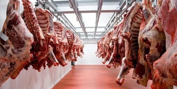 أسعار اللحوم الحمراء في مصر اليوم السبت