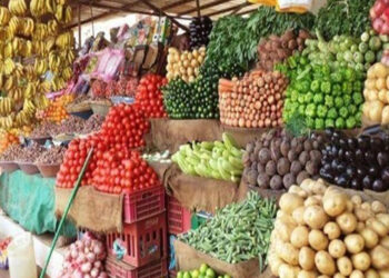 أسعار الخضار والفاكهة اليوم الخميس