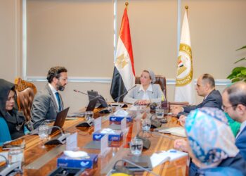 البيئة وبنك التنمية الأفريقي يبحثان التعاون لتعزيز إشراك القطاع الخاص في “الصناعة الخضراء”