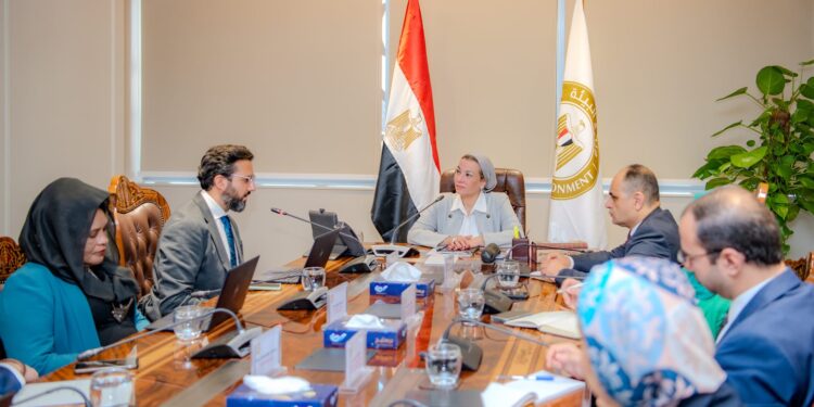 البيئة وبنك التنمية الأفريقي يبحثان التعاون لتعزيز إشراك القطاع الخاص في “الصناعة الخضراء”