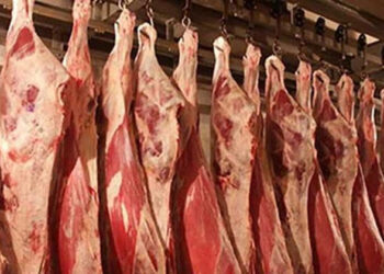 أسعار اللحوم الحمراء في مصر اليوم الإثنين