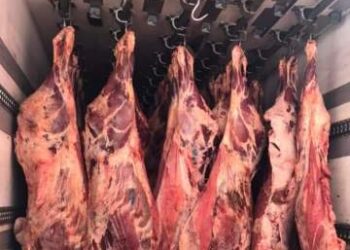 أسعار اللحوم الحمراء في مصر اليوم الخميس