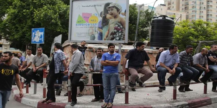 جهاز الإحصاء: معدل البطالة 6.5٪ خلال الربع الثاني لعام 2024