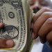 أسعار الدولار في مصر اليوم الثلاثاء