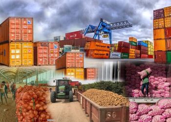 هانى برزى: 23 % نموا فى صادرات الأغذية بأول 7 أشهر من 2024