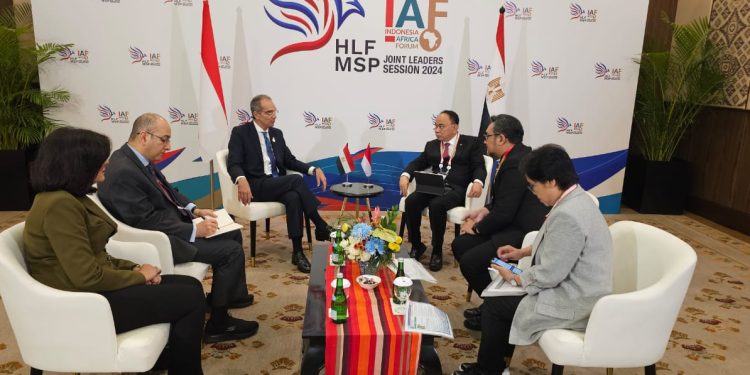 مصر تشارك تجربتها فى التحول الرقمى وبناء القدرات الرقمية مع إندونيسيا