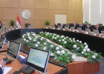 وزير الكهرباء: مستمرون فى خطة خفض الفقد ومنع سرقة التيار وتحسين الاداء ورفع كفاءة التشغيل وجودة الخدمات