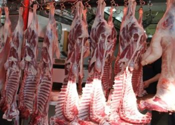 أسعار اللحوم الحمراء اليوم الأحد