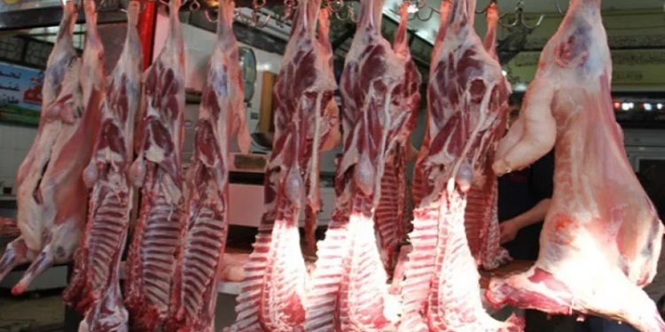 أسعار اللحوم الحمراء اليوم الأحد