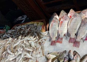 أسعار الأسماك في سوق العبور اليوم الإثنين
