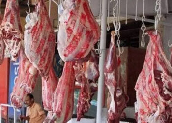 أسعار اللحوم الحمراء اليوم السبت