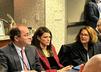 وزير المالية: الأولوية لتعزيز ثقة المستثمرين المحليين والدوليين فى قدرات الاقتصاد المصري