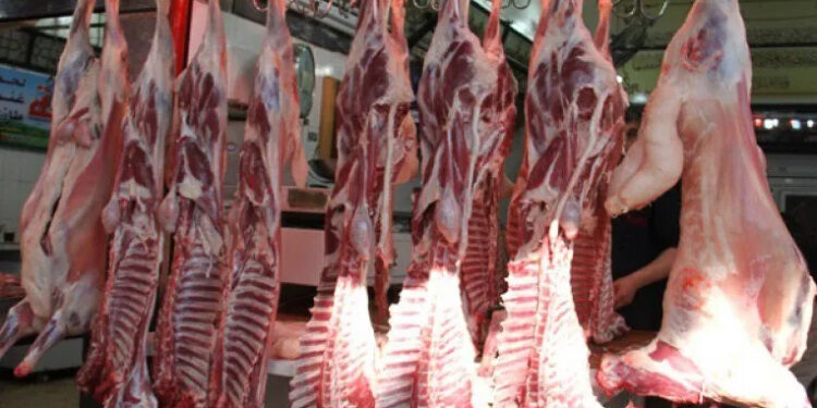 أسعار اللحوم الحمراء اليوم الأحد
