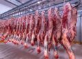 أسعار اللحوم الحمراء اليوم الجمعة