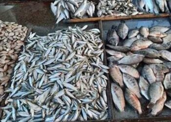 أسعار الأسماك في سوق العبور اليوم الخميس