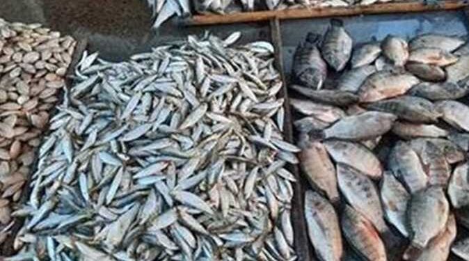 أسعار الأسماك في سوق العبور اليوم الخميس
