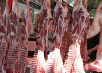 أسعار اللحوم الحمراء اليوم الخميس