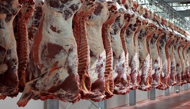 أسعار اللحوم الحمراء اليوم الأربعاء