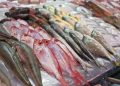 أسعار الأسماك والجمبري في سوق العبور اليوم الأربعاء