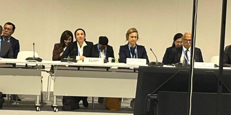 وزيرة البيئة تشارك في الجلسة الخاصة بمناقشات تمويل المناخ