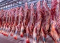 أسعار اللحوم الحمراء اليوم الثلاثاء