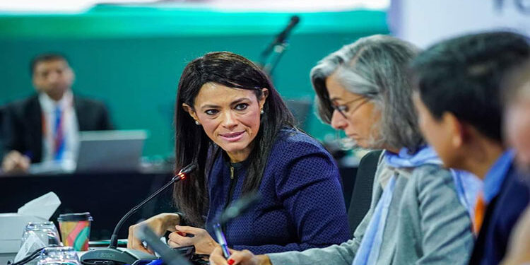 وزيرة التخطيط : ضرورة إنشاء بنية مالية فعالة والتكامل بين الاستثمارات العامة والتمويل الدولي لتعظيم الأثر التنموي