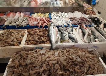أسعار الأسماك في سوق العبور اليوم الثلاثاء