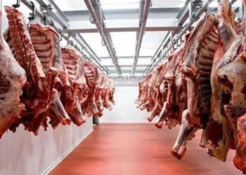 أسعار اللحوم الحمراء اليوم السبت