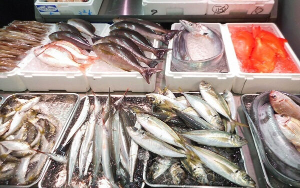 أسعار الأسماك في سوق العبور اليوم الإثنين