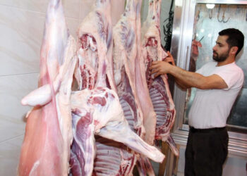 أسعار اللحوم الحمراء اليوم الإثنين