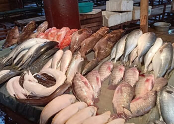 أسعار الأسماك في سوق العبور اليوم الأحد