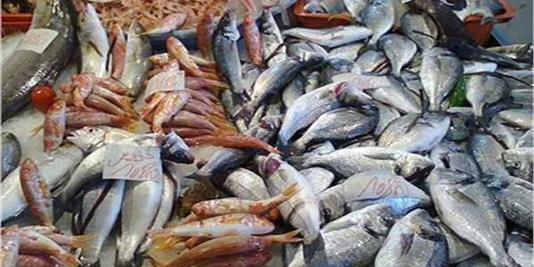 أسعار الأسماك في سوق العبور اليوم الخميس
