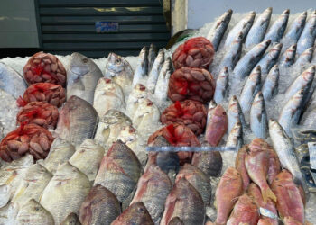 أسعار الأسماك في سوق العبور اليوم الثلاثاء