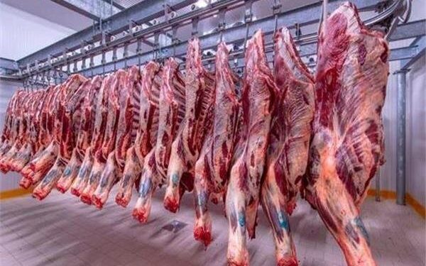 أسعار اللحوم الحمراء اليوم الخميس
