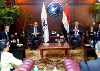 الهيئة العامة للاستثمار وشركة هينفرا البولندية تبحثان إنشاء مشروع لإنتاج الأمونيا الخضراء