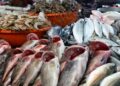أسعار الأسماك في سوق العبور اليوم الثلاثاء