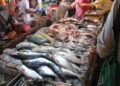 أسعار الأسماك في سوق العبور اليوم الأربعاء