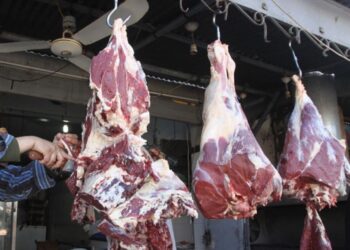 أسعار اللحوم اليوم في الأسواق