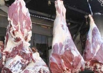 أسعار اللحوم الحمراء اليوم الجمعة