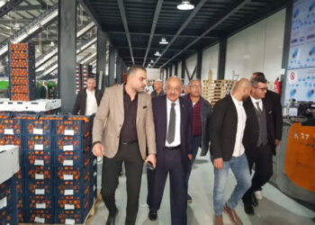 اتحاد منتجي ومصدري الحاصلات البستانية يفتتح محطة فرز وتعبئة وتغليف للحاصلات البستانية بالإسماعيلية