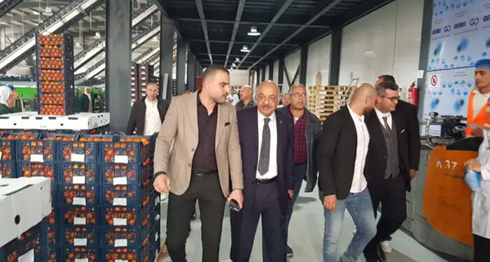 اتحاد منتجي ومصدري الحاصلات البستانية يفتتح محطة فرز وتعبئة وتغليف للحاصلات البستانية بالإسماعيلية