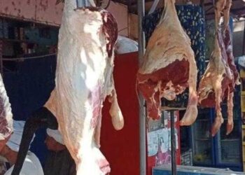 أسعار اللحوم الحمراء اليوم الأربعاء