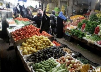أسعار الخضار والفاكهة اليوم الجمعة