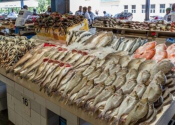 أسعار الأسماك في سوق العبور اليوم الأربعاء