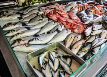 أسعار الأسماك في سوق العبور اليوم السبت