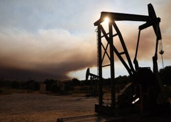 بأسعار مخفضة.. قائمة السلع التموينية في المنافذ لشهر ديسمبر 2024