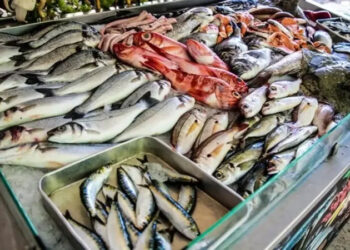 أسعار الأسماك في سوق العبور اليوم السبت