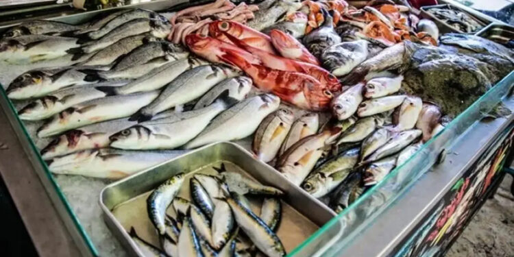 أسعار الأسماك في سوق العبور اليوم الأربعاء